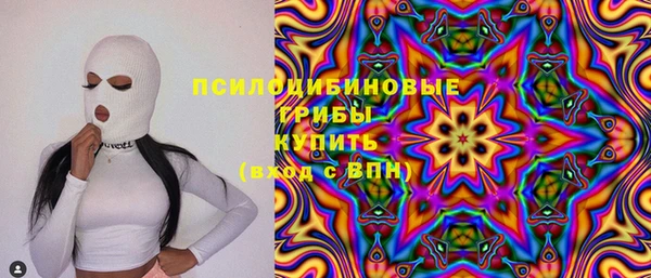 гидра Ладушкин